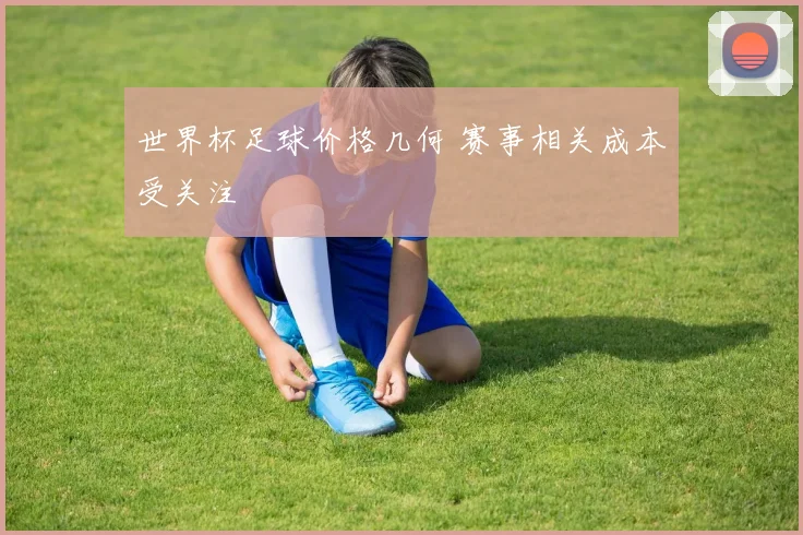 世界杯足球价格几何 赛事相关成本受关注