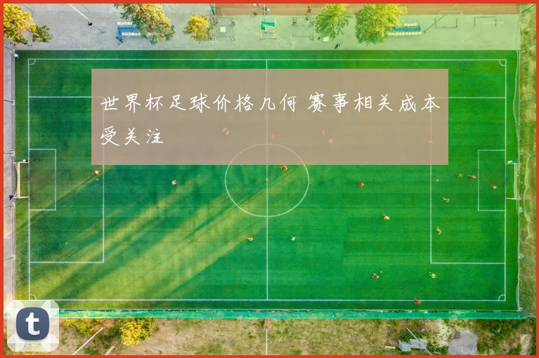 世界杯足球价格几何 赛事相关成本受关注
