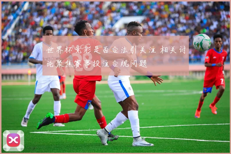 世界杯竞彩是否合法引关注 相关讨论聚焦赛事投注合规问题