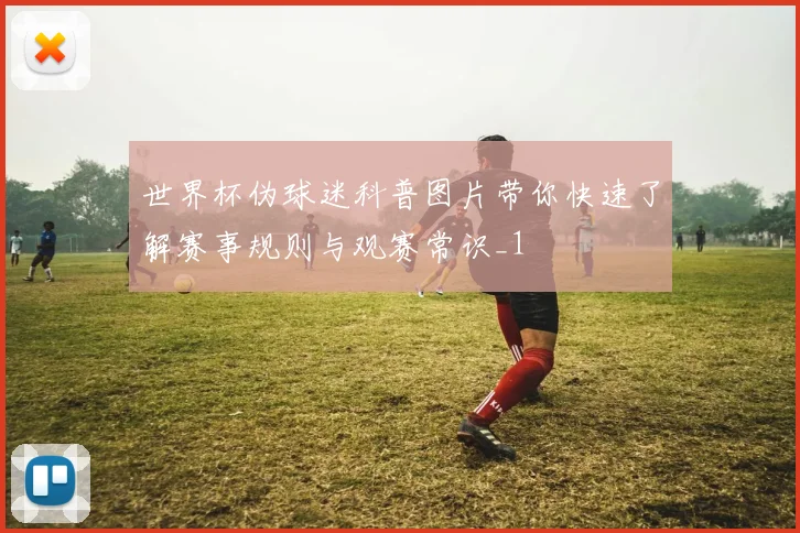世界杯伪球迷科普图片带你快速了解赛事规则与观赛常识_1