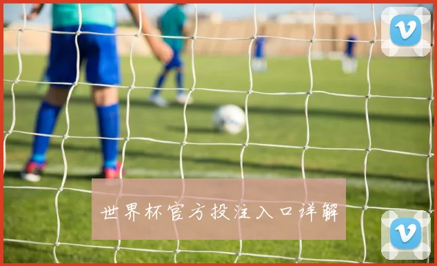 世界杯官方投注入口详解